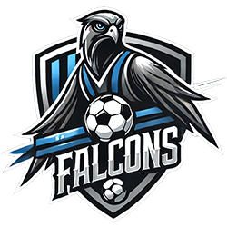 FALCONS FC (M)